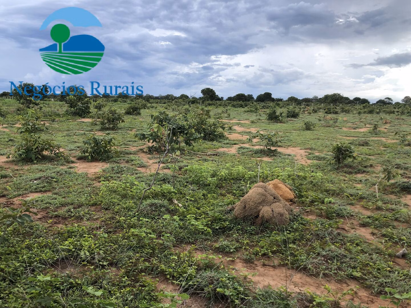 Fazenda de 847 ha em Novo Planalto, GO