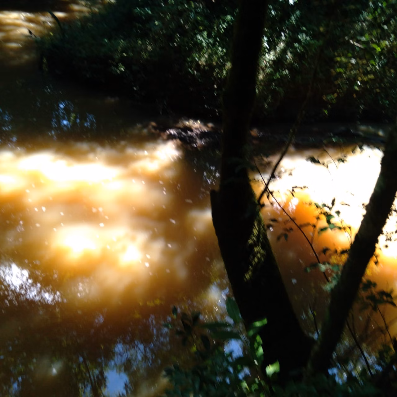 Small farm of 60 acres in Angatuba, SP, Brazil