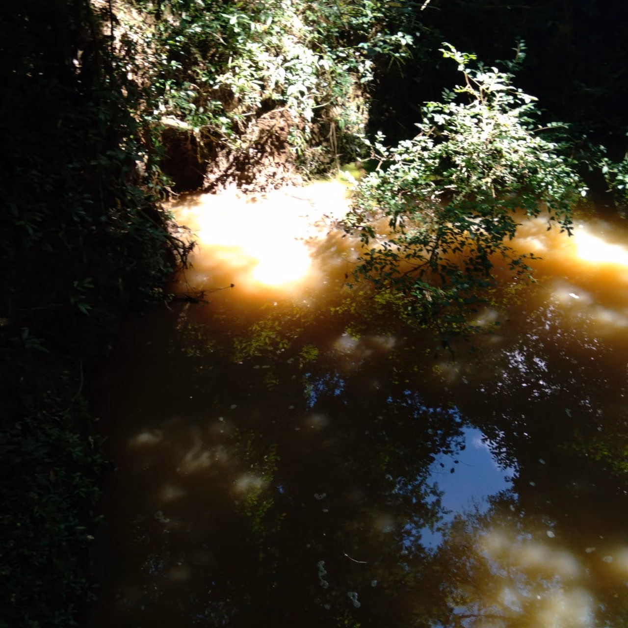 Small farm of 60 acres in Angatuba, SP, Brazil