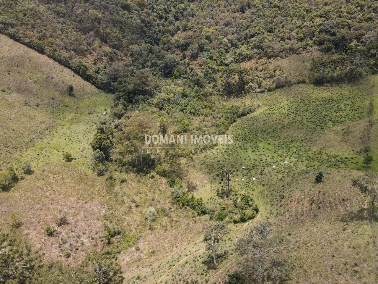 Sítio de 24 ha em Campos do Jordão, SP