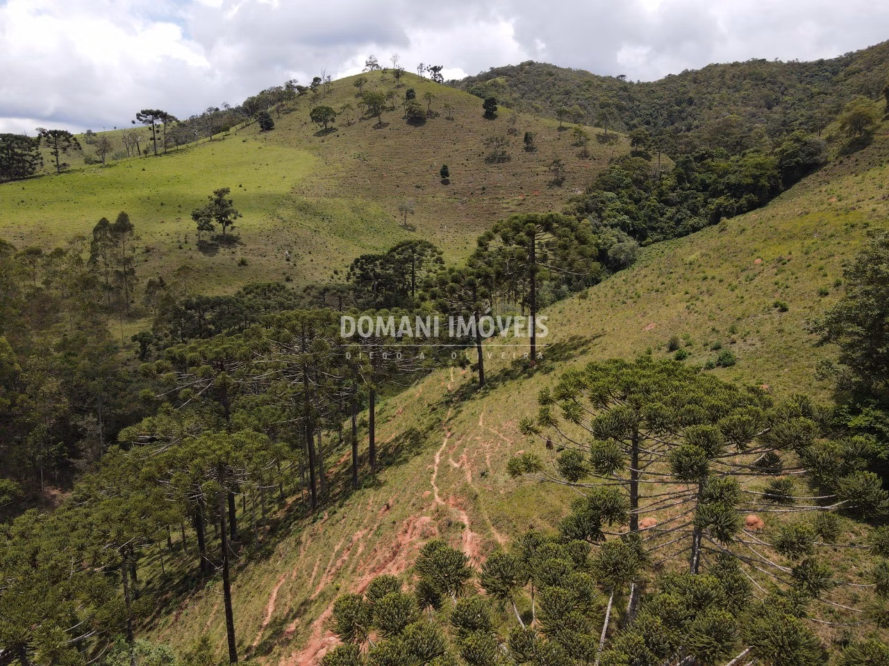 Sítio de 24 ha em Campos do Jordão, SP