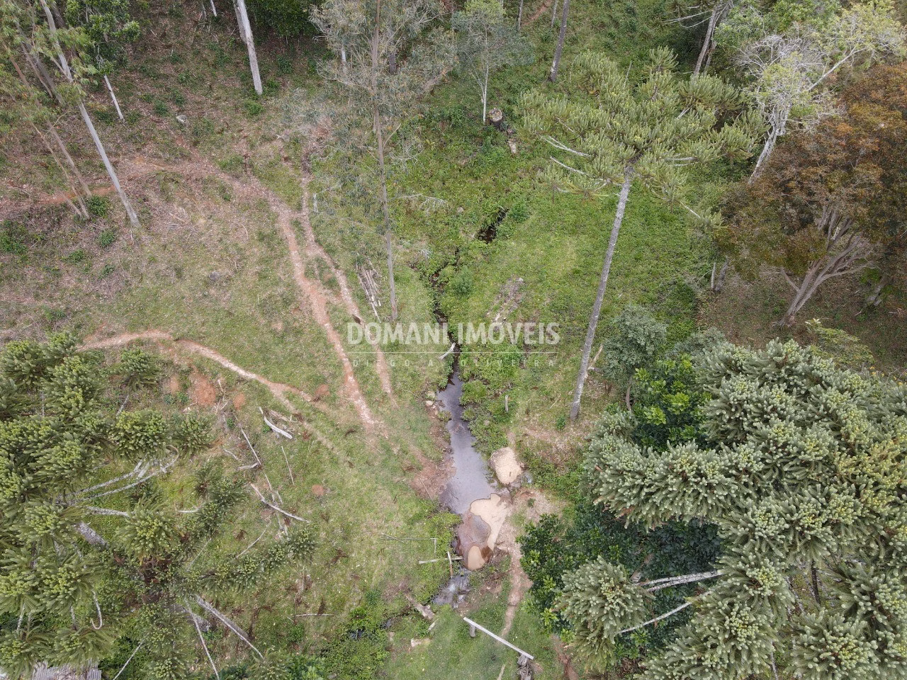 Sítio de 24 ha em Campos do Jordão, SP