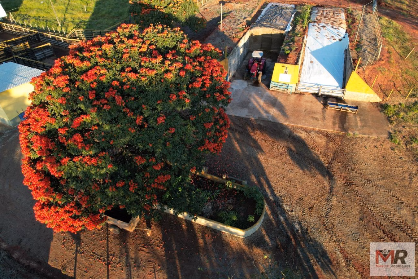 Fazenda de 116 ha em São Gonçalo do Sapucaí, MG