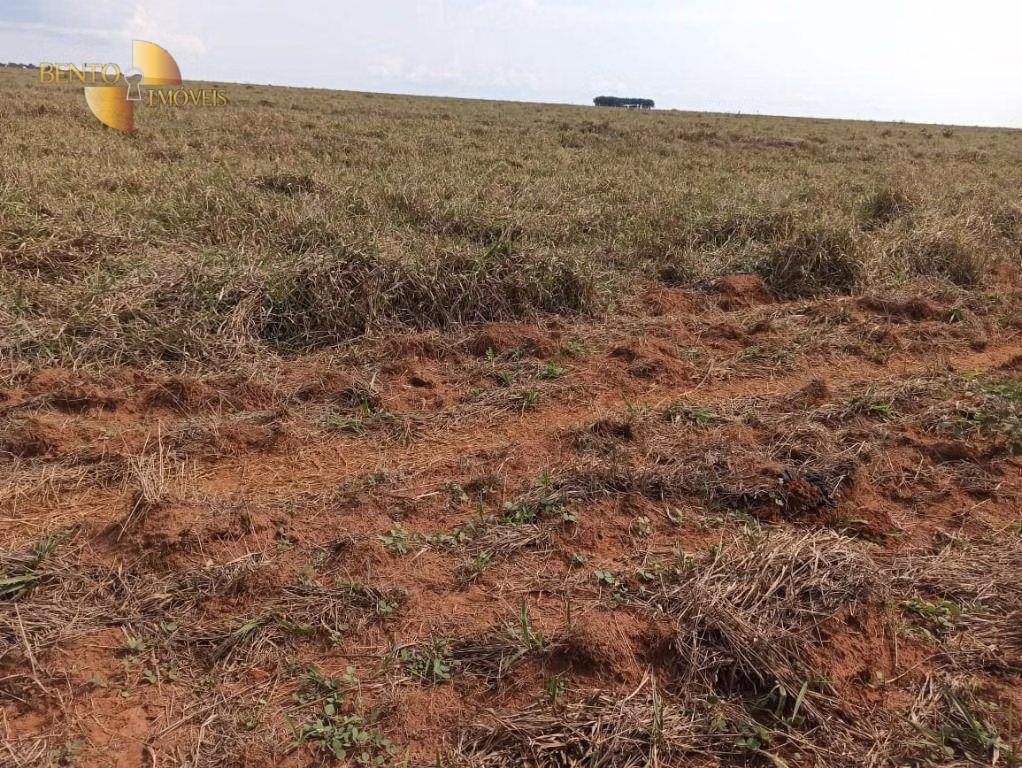 Fazenda de 11.475 ha em São José do Xingu, MT