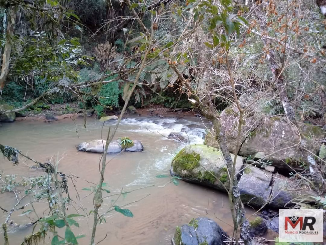 Sítio de 2 ha em Munhoz, MG