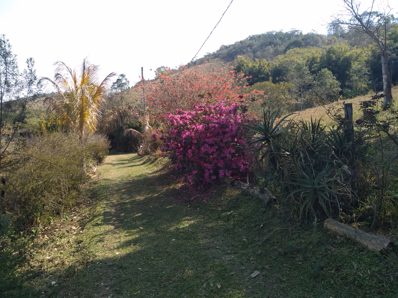Sítio de 10 ha em Paraibuna, SP