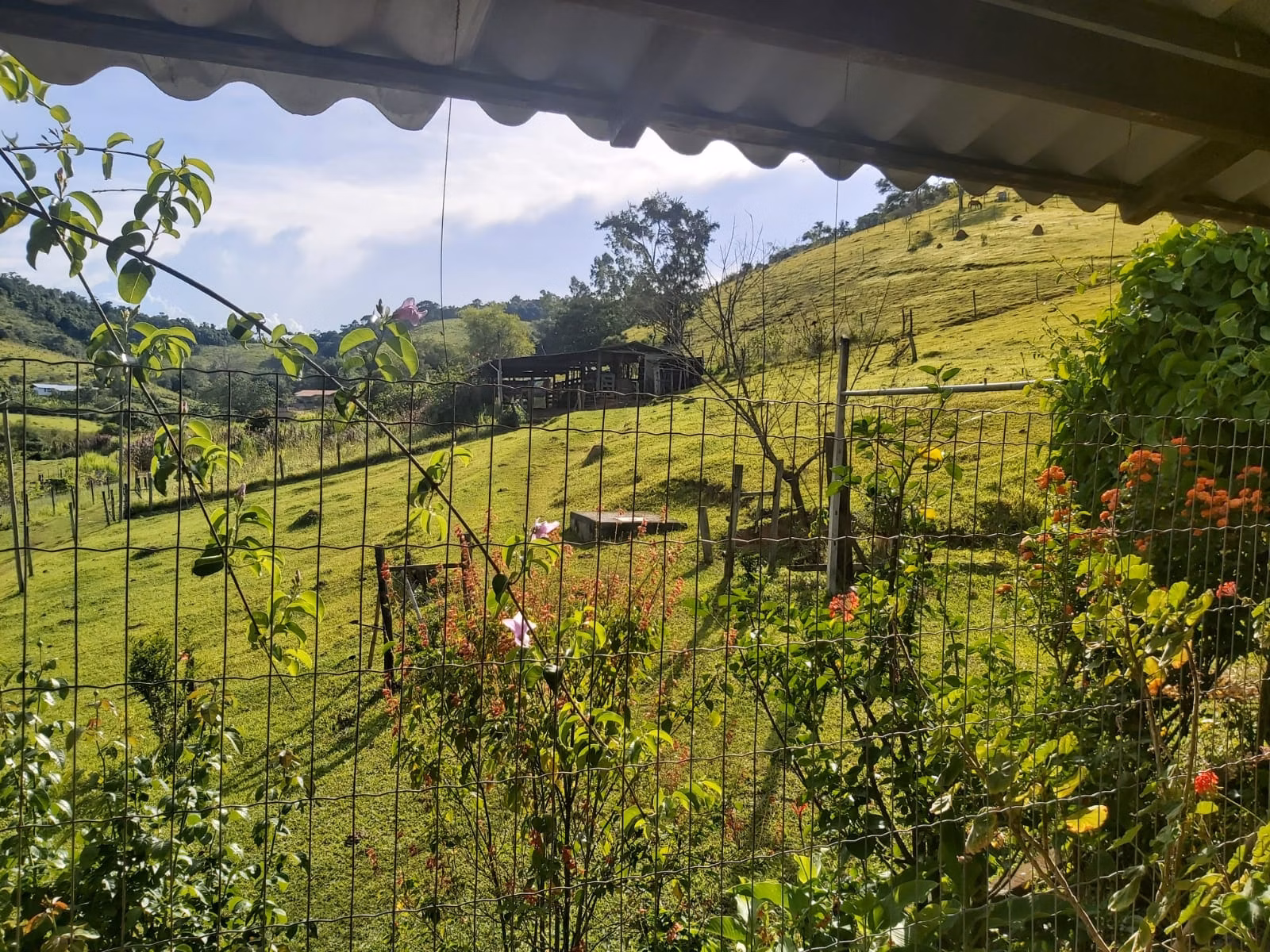 Sítio de 10 ha em Paraibuna, SP