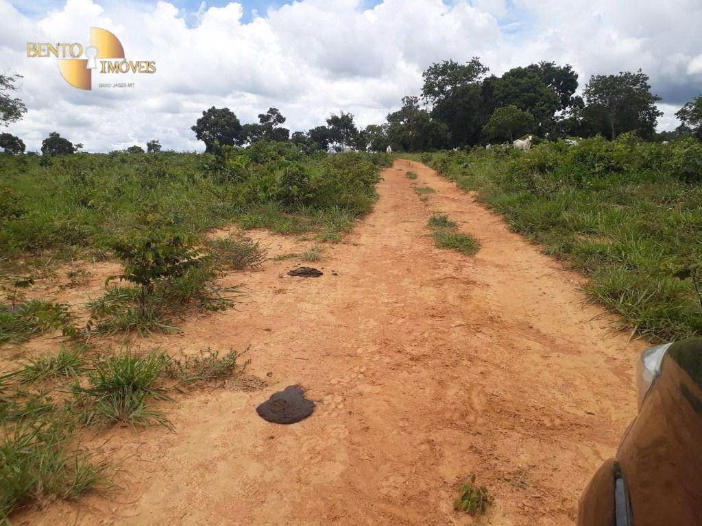 Fazenda de 2.300 ha em Várzea Grande, MT