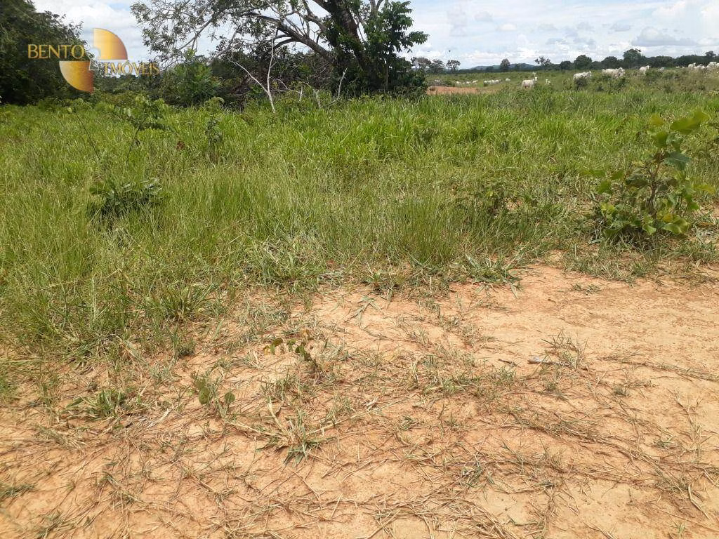 Fazenda de 2.300 ha em Várzea Grande, MT