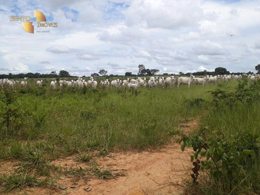 Fazenda de 2.300 ha em Várzea Grande, MT