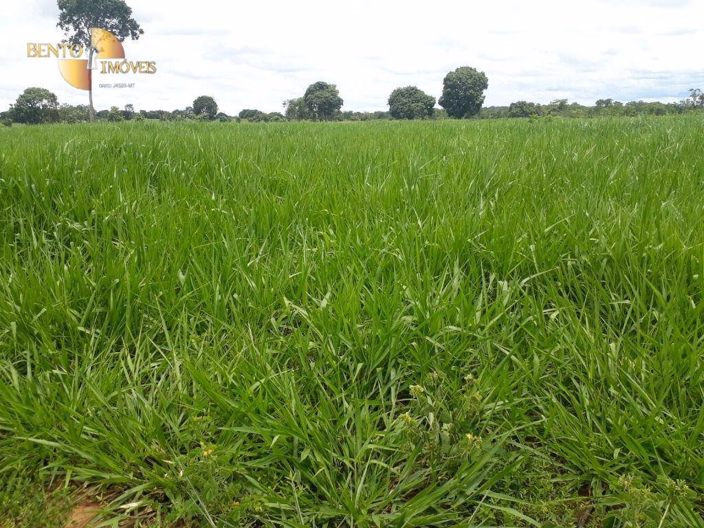 Fazenda de 2.300 ha em Várzea Grande, MT
