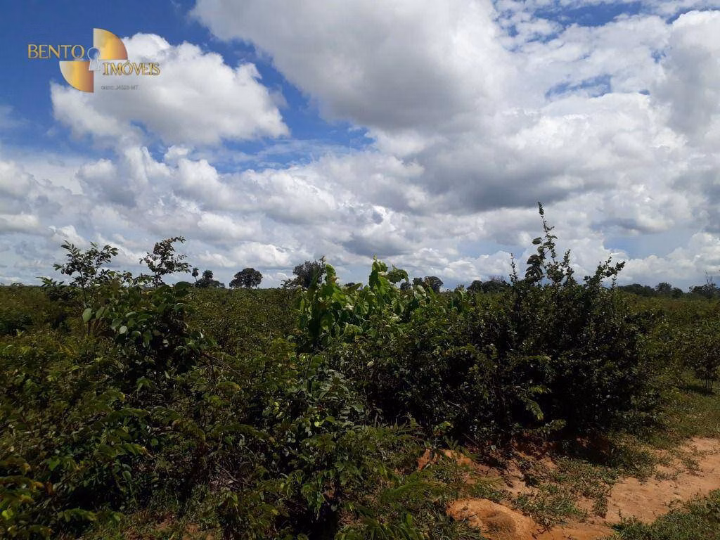 Fazenda de 2.300 ha em Várzea Grande, MT