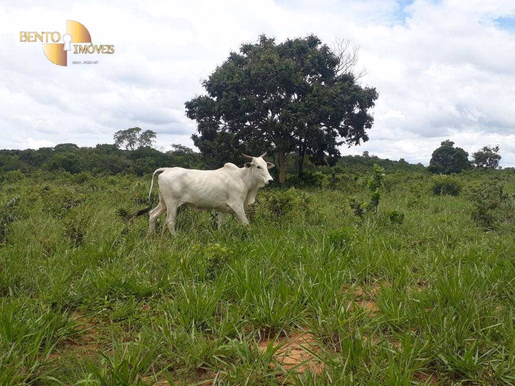 Fazenda de 2.300 ha em Várzea Grande, MT