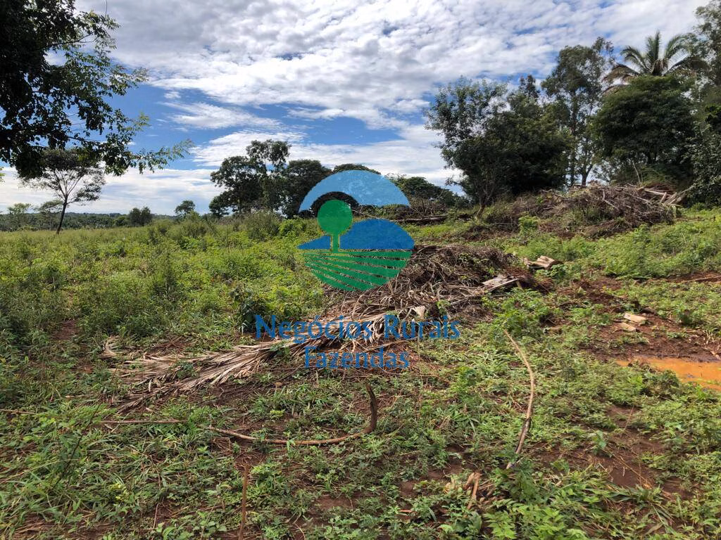 Fazenda de 338 ha em Uruaçu, GO