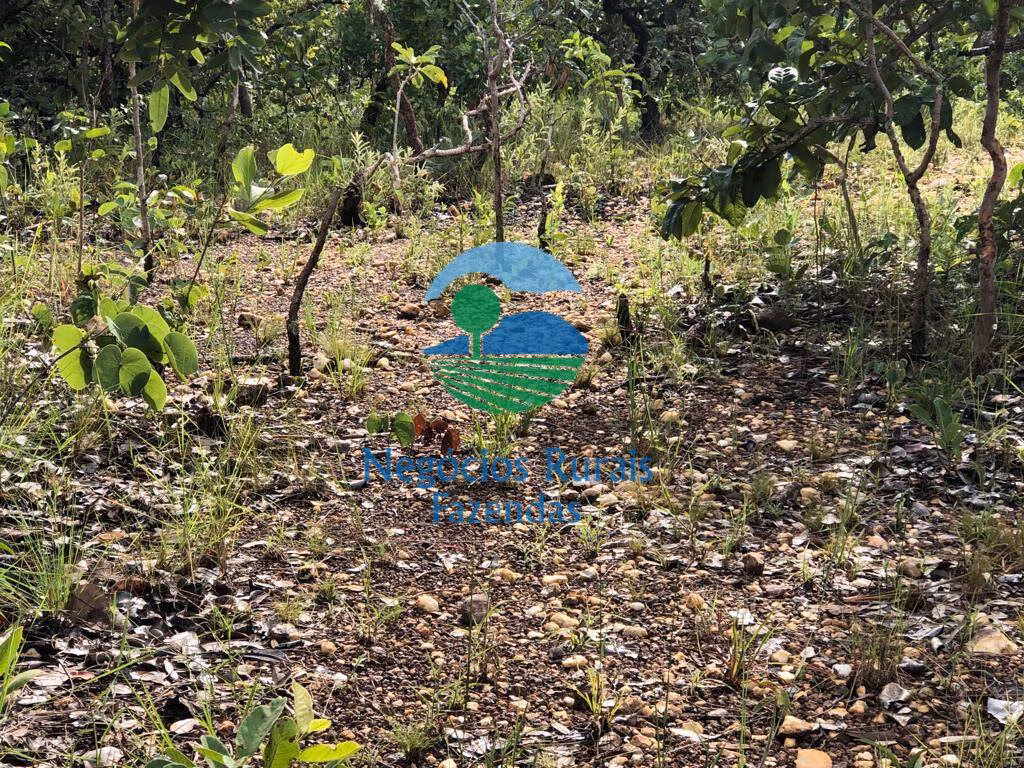 Fazenda de 338 ha em Uruaçu, GO