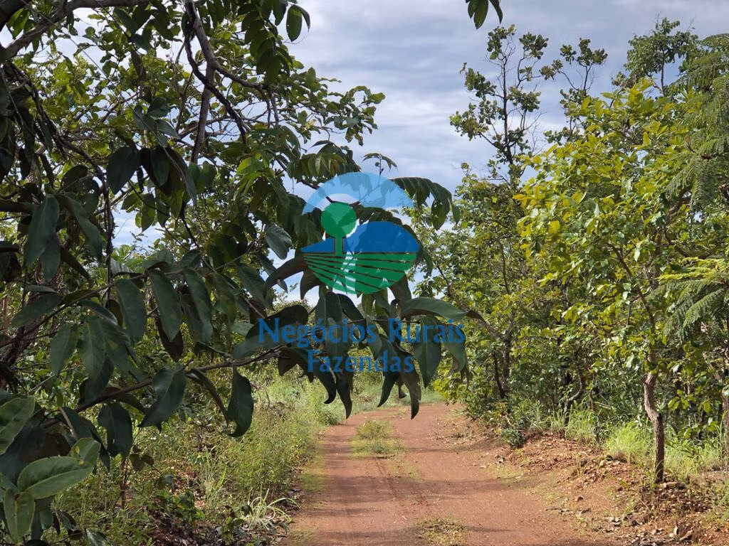 Fazenda de 338 ha em Uruaçu, GO