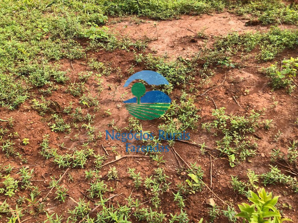 Fazenda de 338 ha em Uruaçu, GO