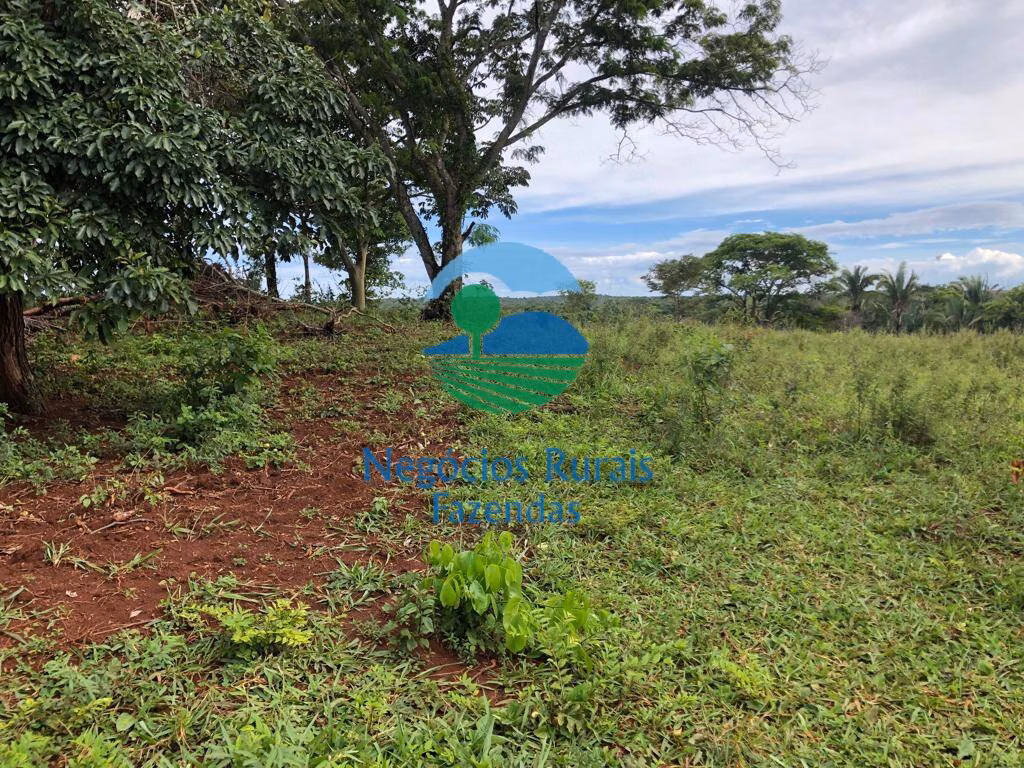 Fazenda de 338 ha em Uruaçu, GO
