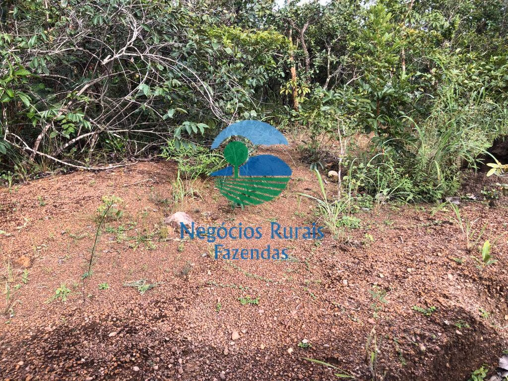 Fazenda de 338 ha em Uruaçu, GO