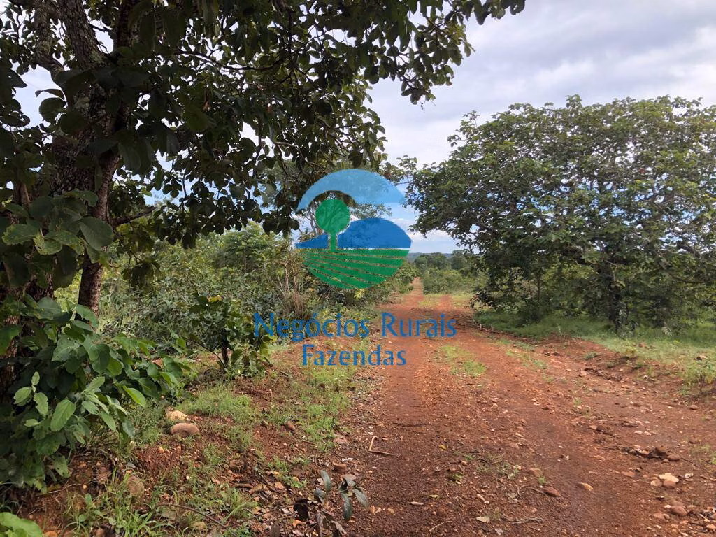 Fazenda de 338 ha em Uruaçu, GO