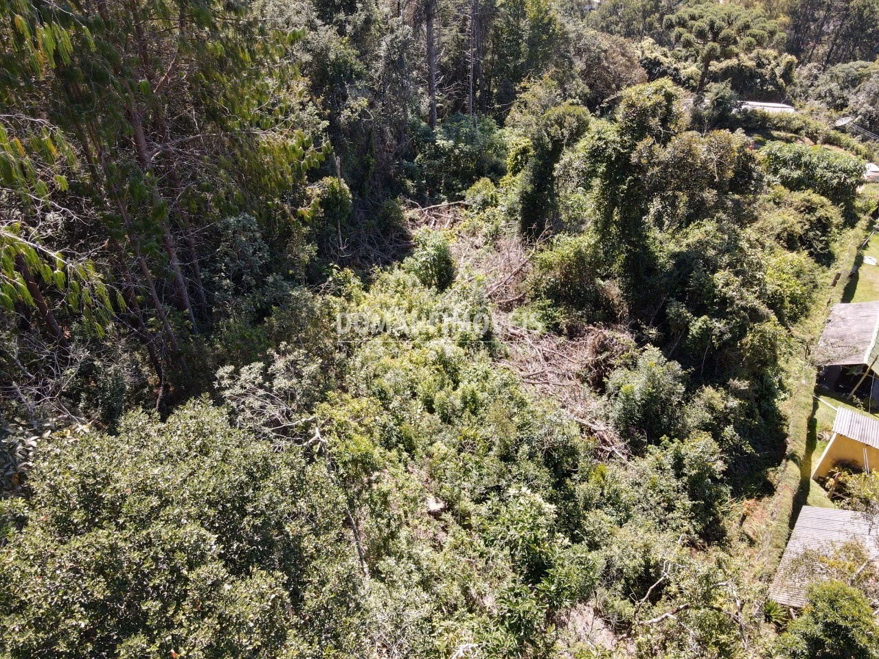 Plot of 2,520 m² in Campos do Jordão, SP, Brazil