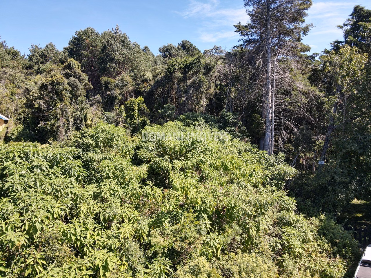 Plot of 2,520 m² in Campos do Jordão, SP, Brazil