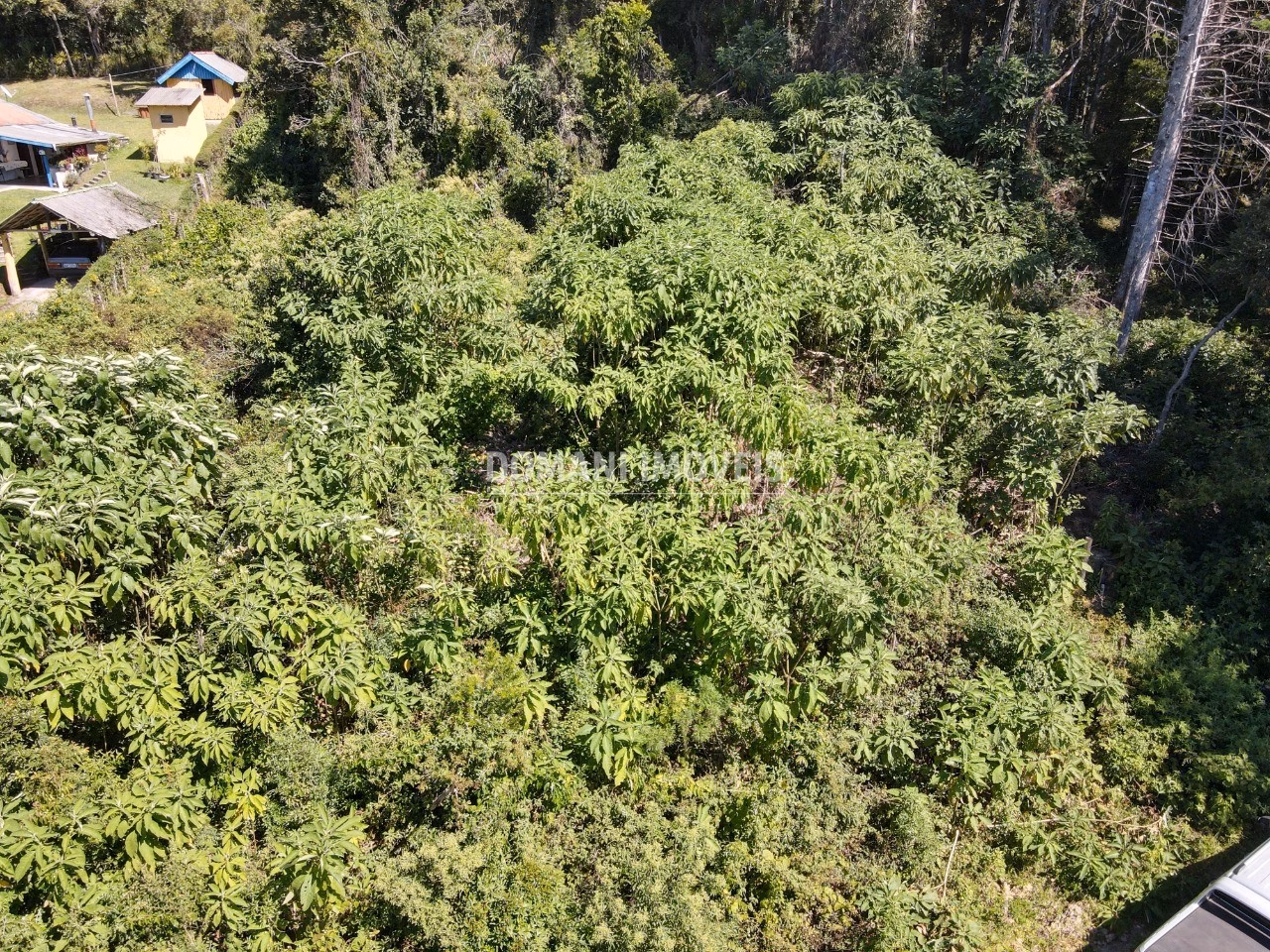 Plot of 2,520 m² in Campos do Jordão, SP, Brazil