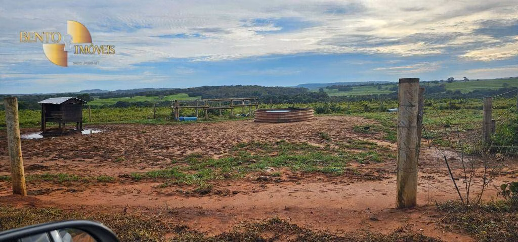 Fazenda de 240 ha em Dom Aquino, MT
