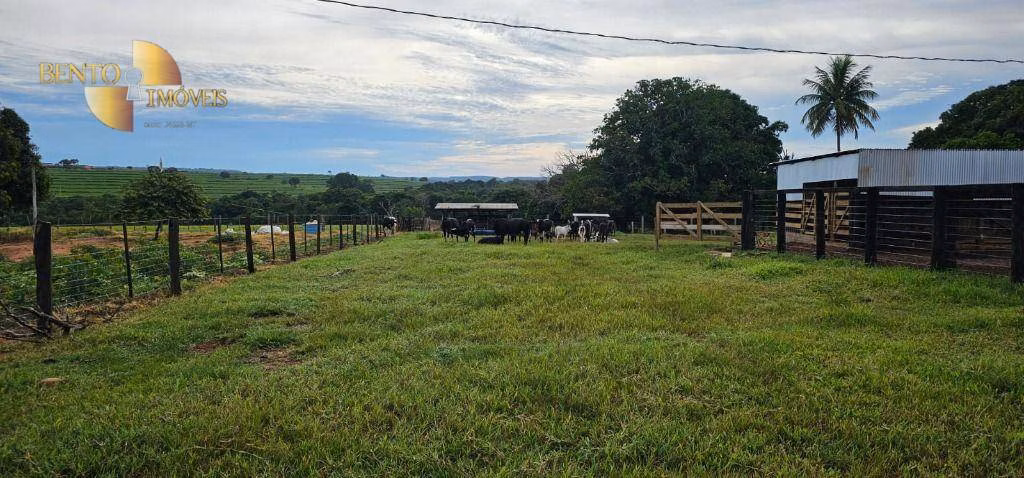 Fazenda de 240 ha em Dom Aquino, MT