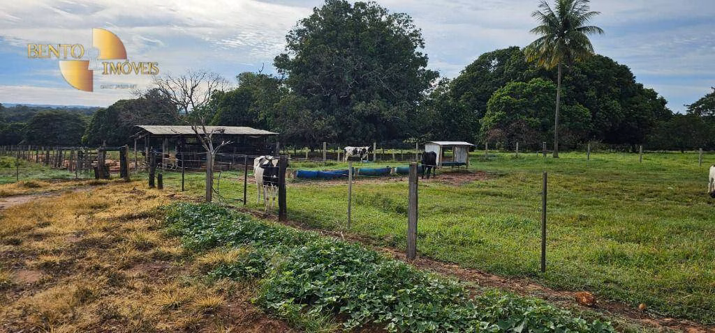 Fazenda de 240 ha em Dom Aquino, MT