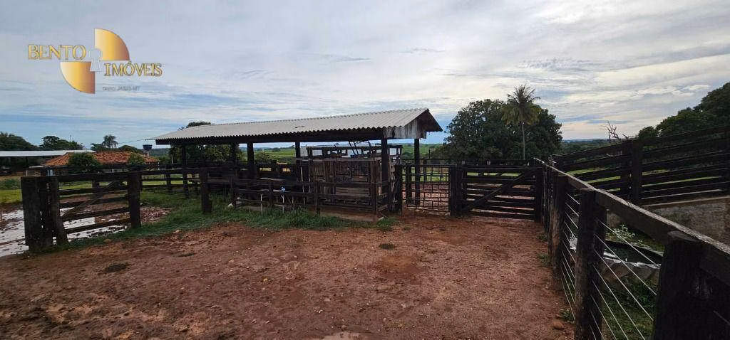 Fazenda de 240 ha em Dom Aquino, MT