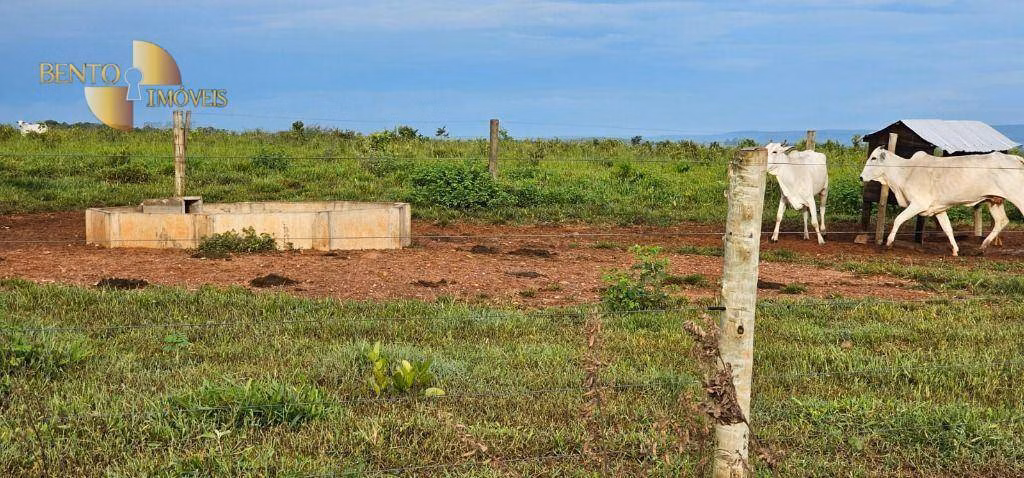 Fazenda de 240 ha em Dom Aquino, MT