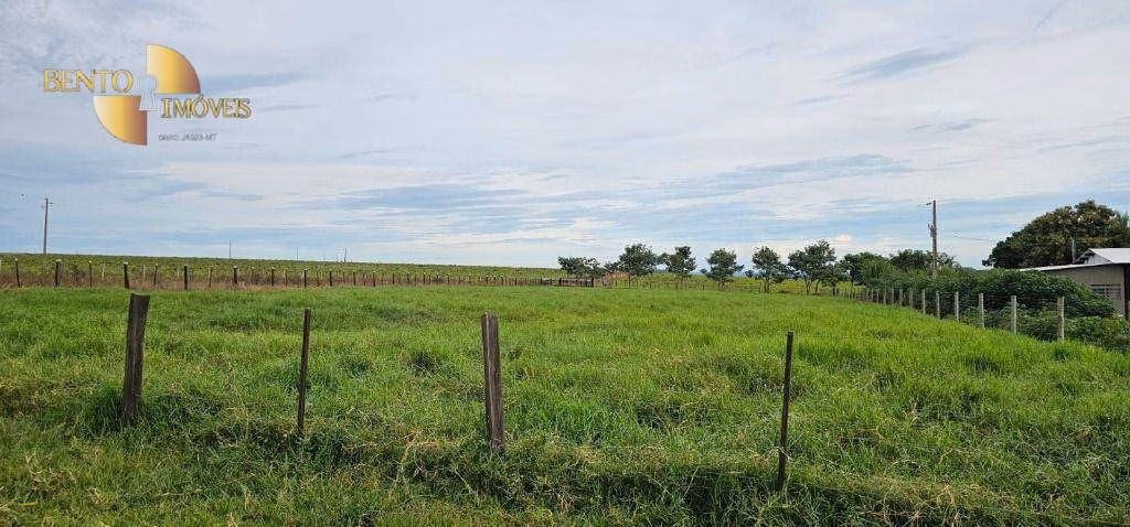 Fazenda de 240 ha em Dom Aquino, MT