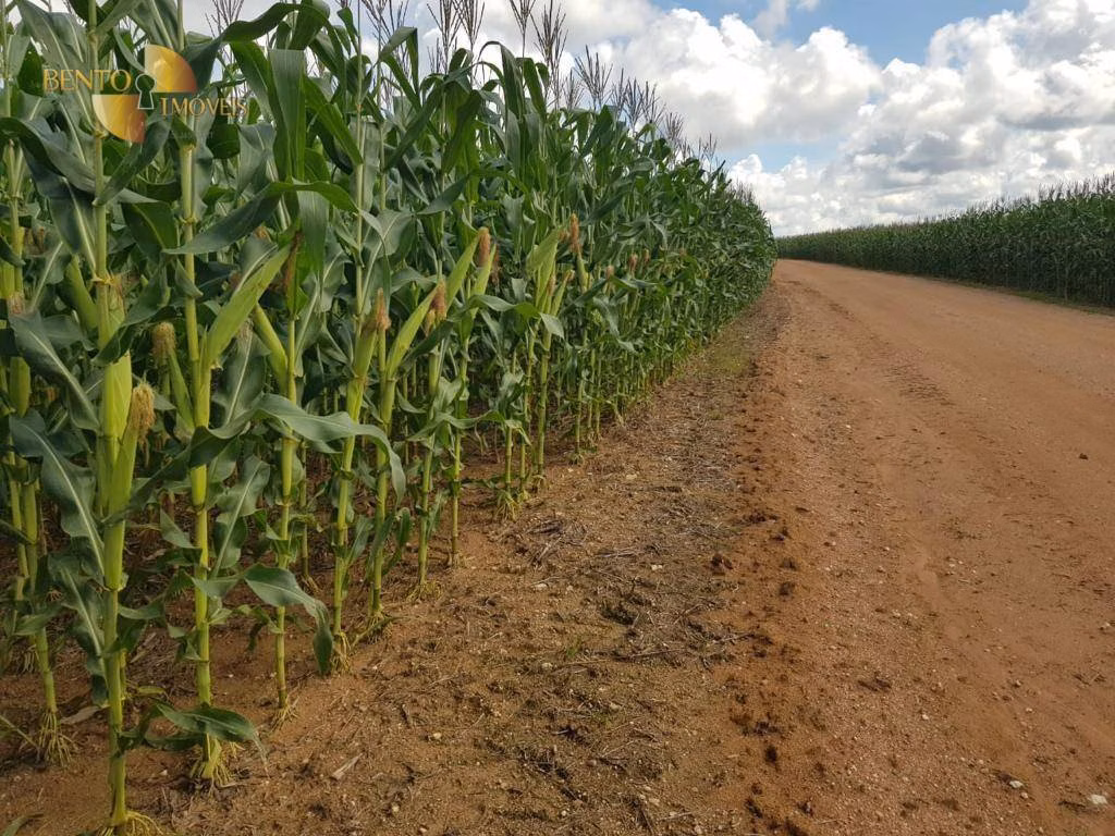 Fazenda de 8.450 ha em Nova Canaã do Norte, MT