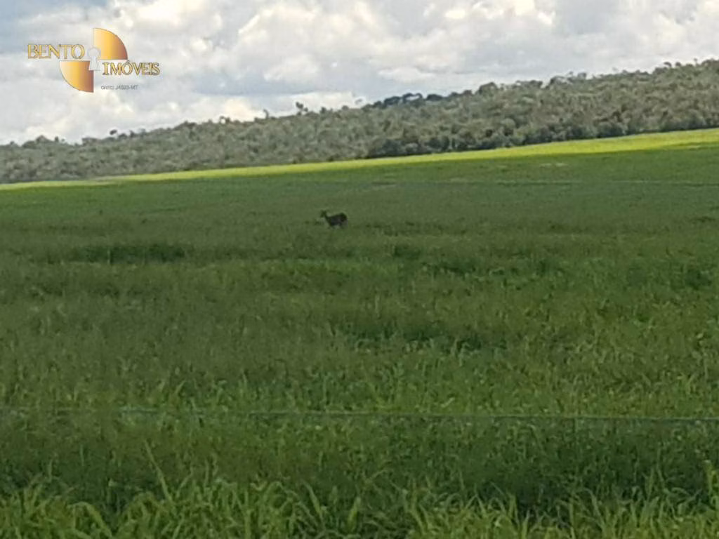 Fazenda de 8.450 ha em Nova Canaã do Norte, MT