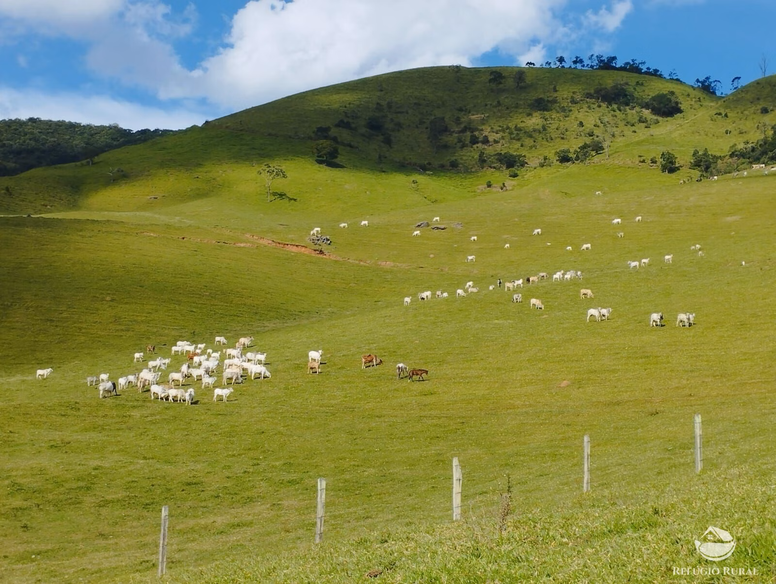 Fazenda de 242 ha em Piracaia, SP
