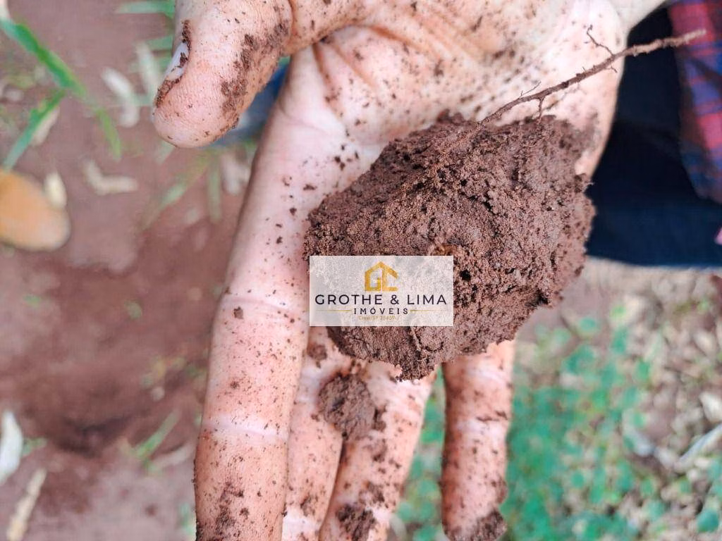 Fazenda de 14.452 ha em Araguaína, TO