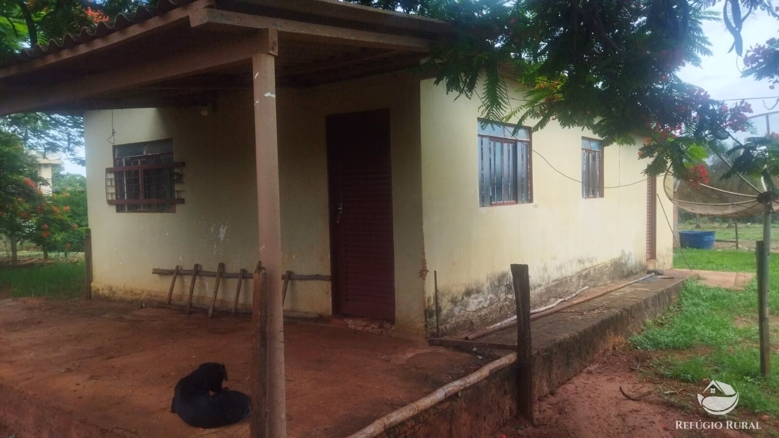 Sítio de 29 ha em Frutal, MG