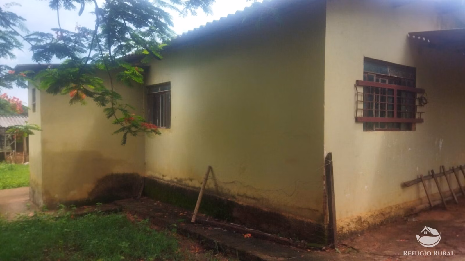 Sítio de 29 ha em Frutal, MG