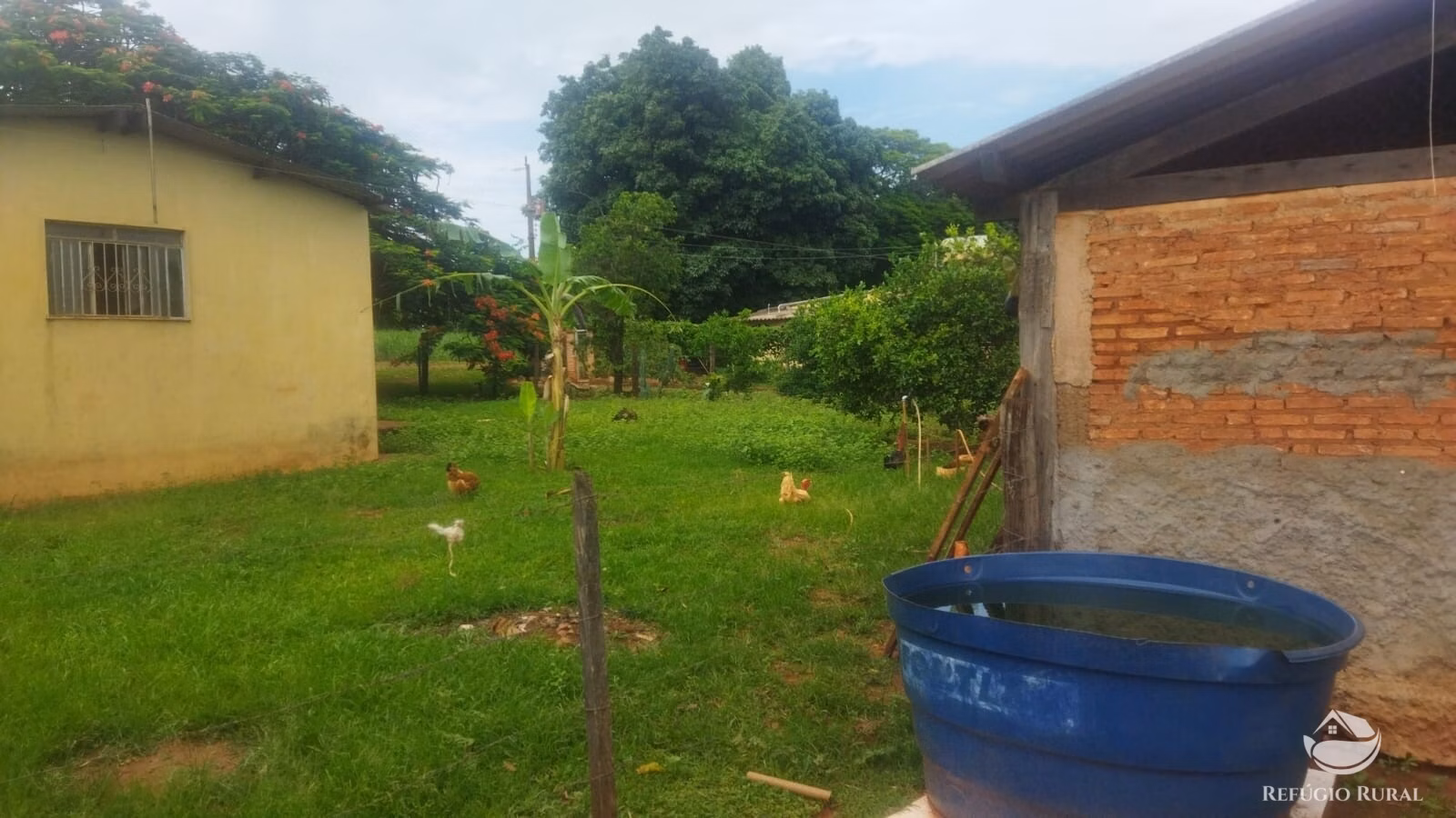 Sítio de 29 ha em Frutal, MG