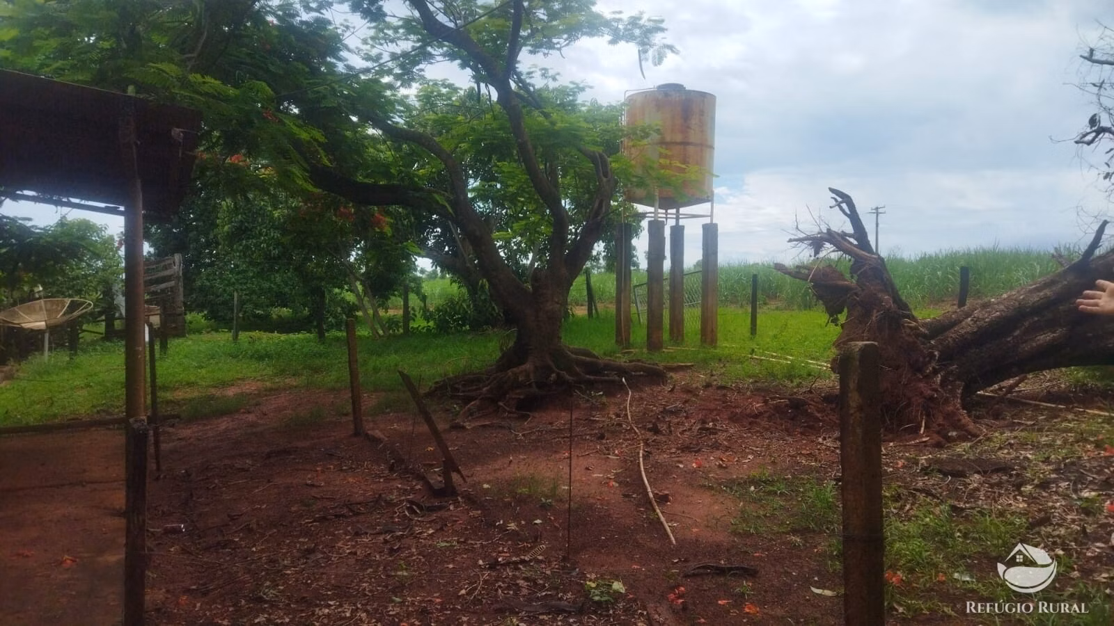 Sítio de 29 ha em Frutal, MG