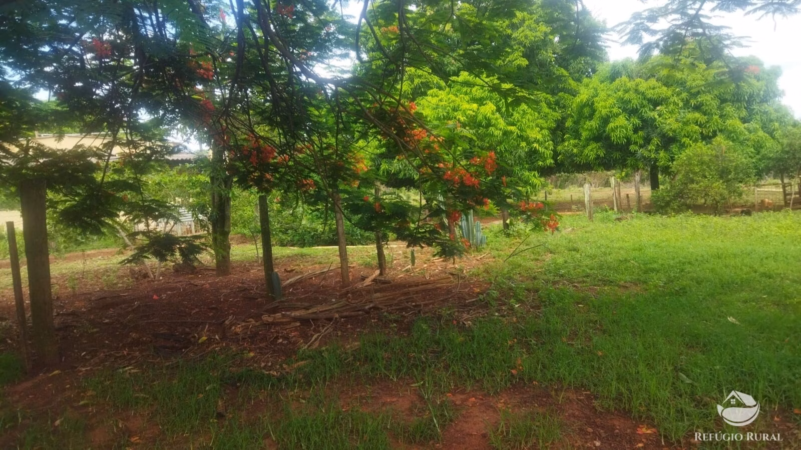 Sítio de 29 ha em Frutal, MG