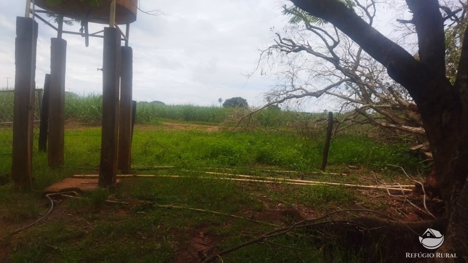 Sítio de 29 ha em Frutal, MG