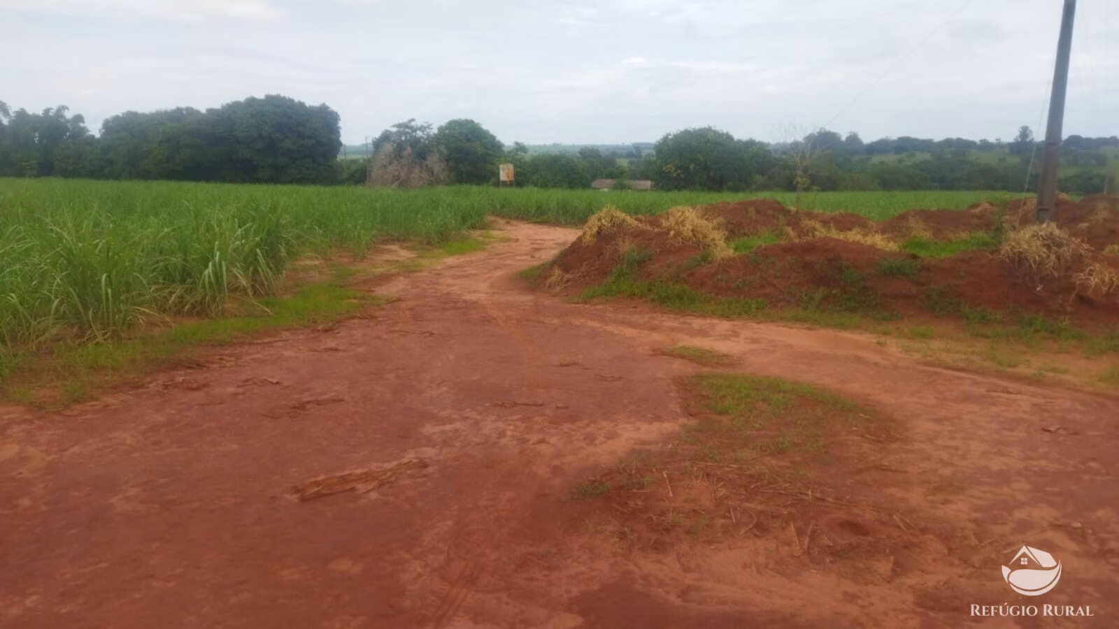 Small farm of 72 acres in Frutal, MG, Brazil
