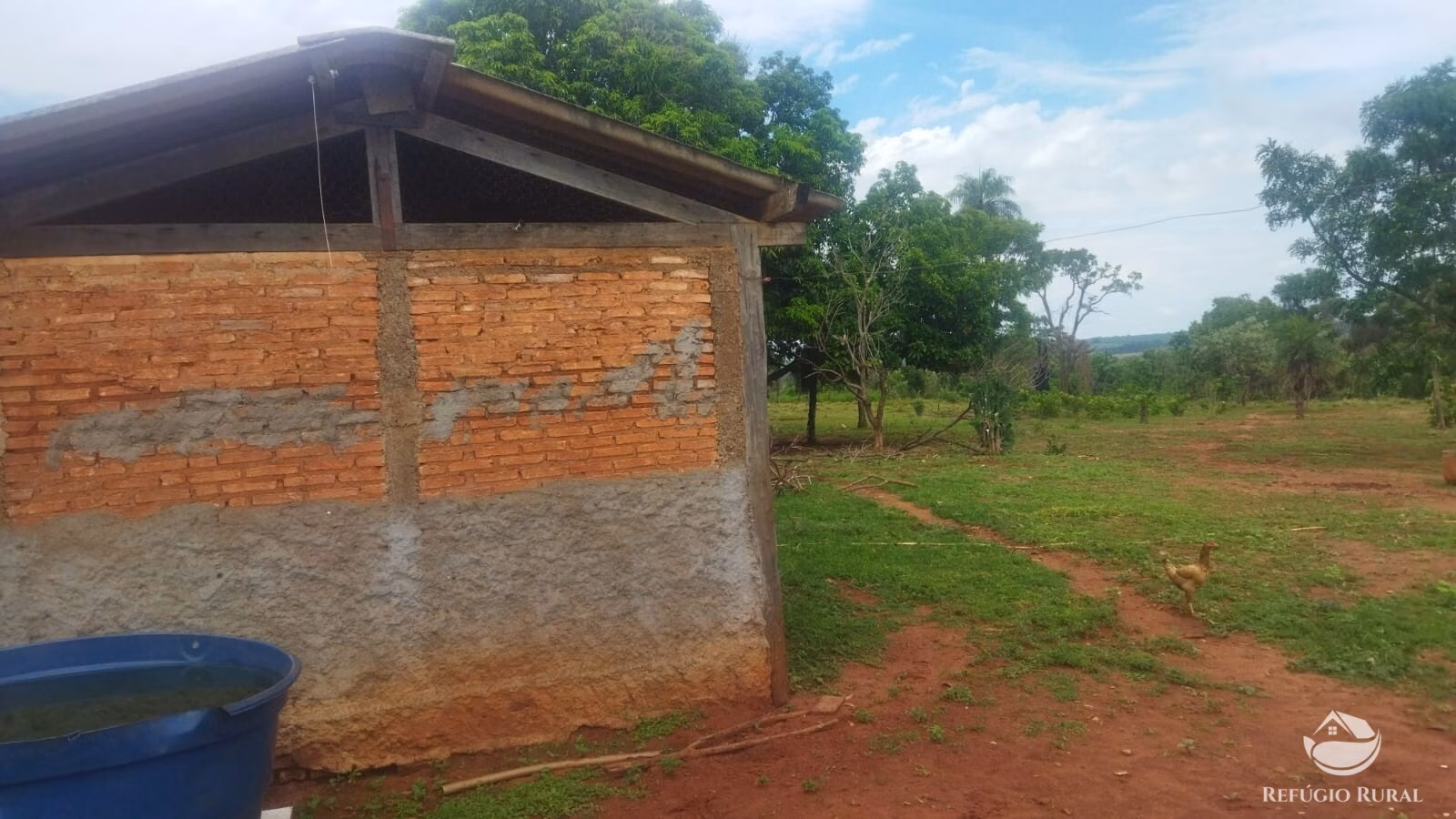 Small farm of 72 acres in Frutal, MG, Brazil