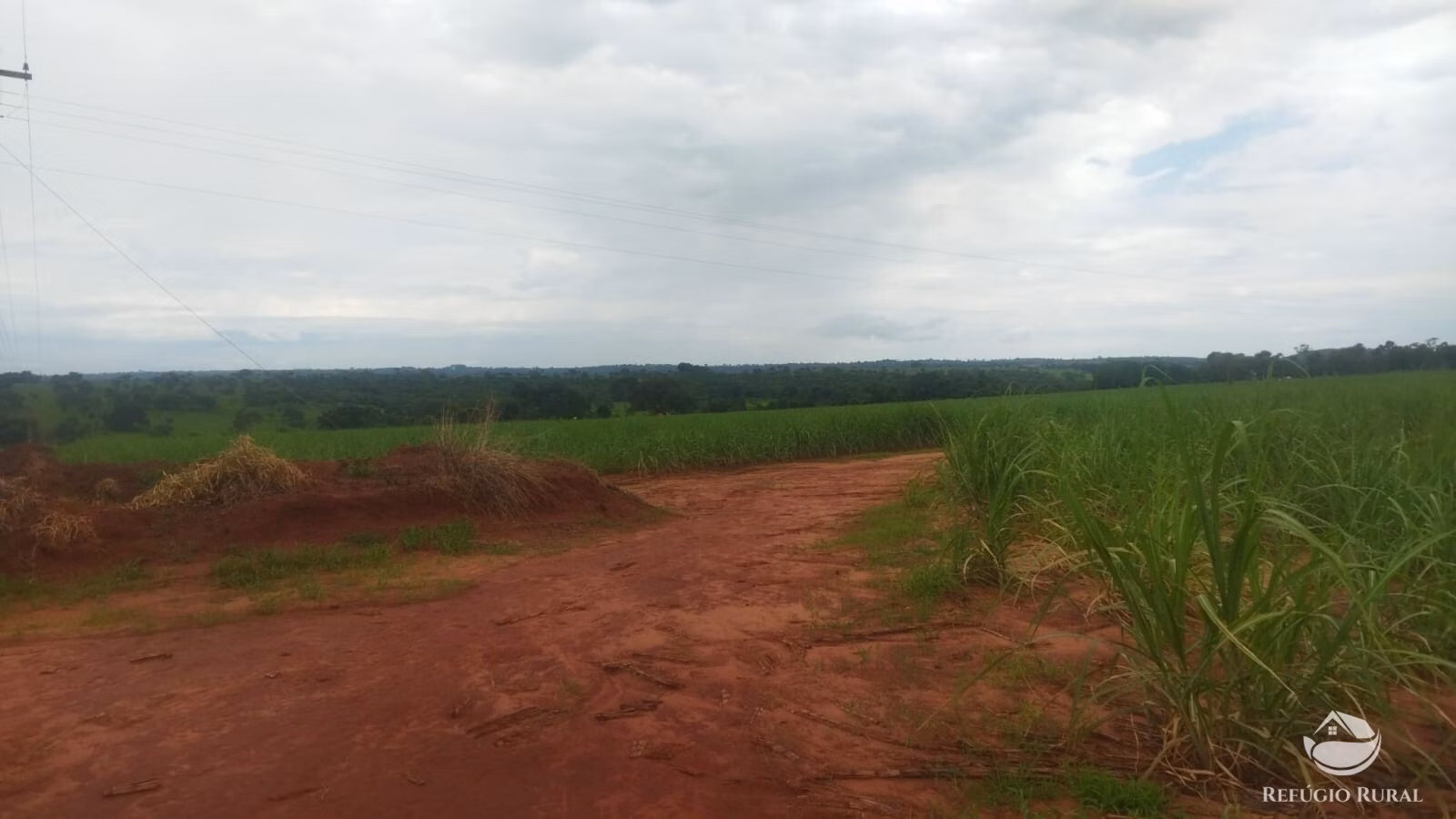 Small farm of 72 acres in Frutal, MG, Brazil