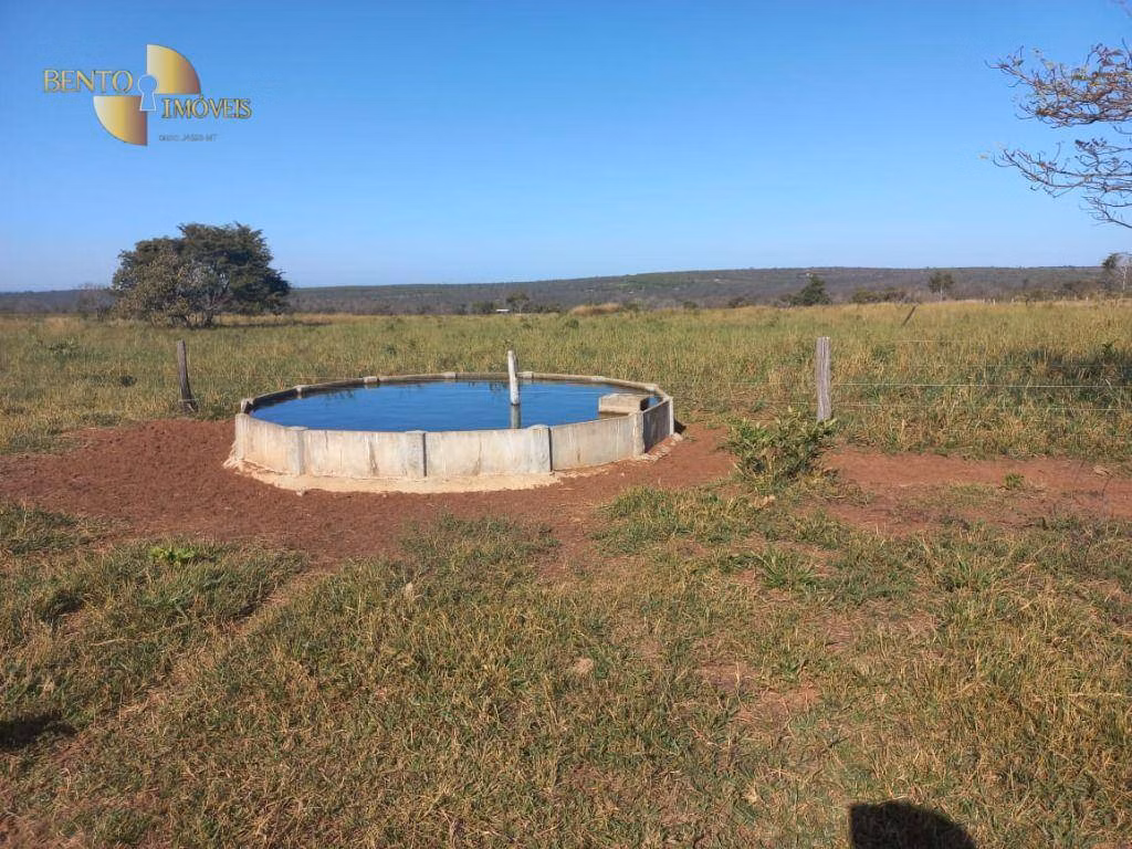 Fazenda de 337 ha em Juscimeira, MT