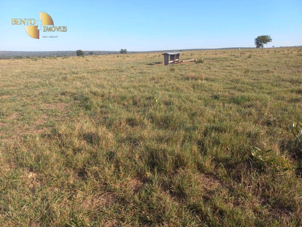 Fazenda de 337 ha em Juscimeira, MT