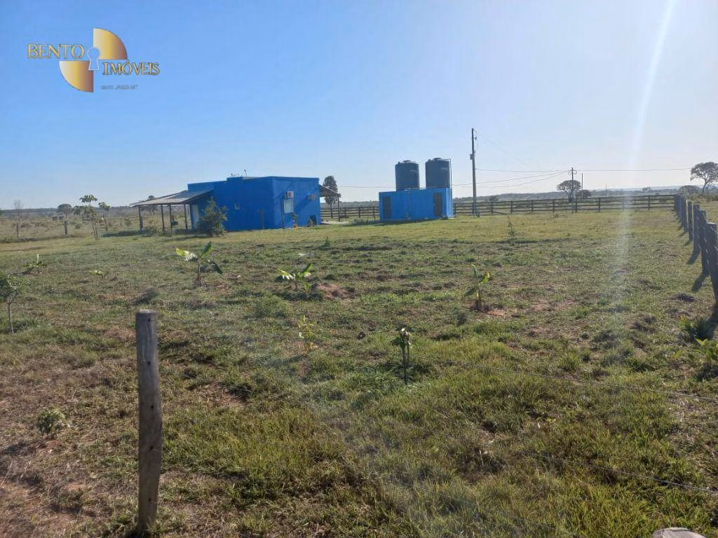 Fazenda de 337 ha em Juscimeira, MT
