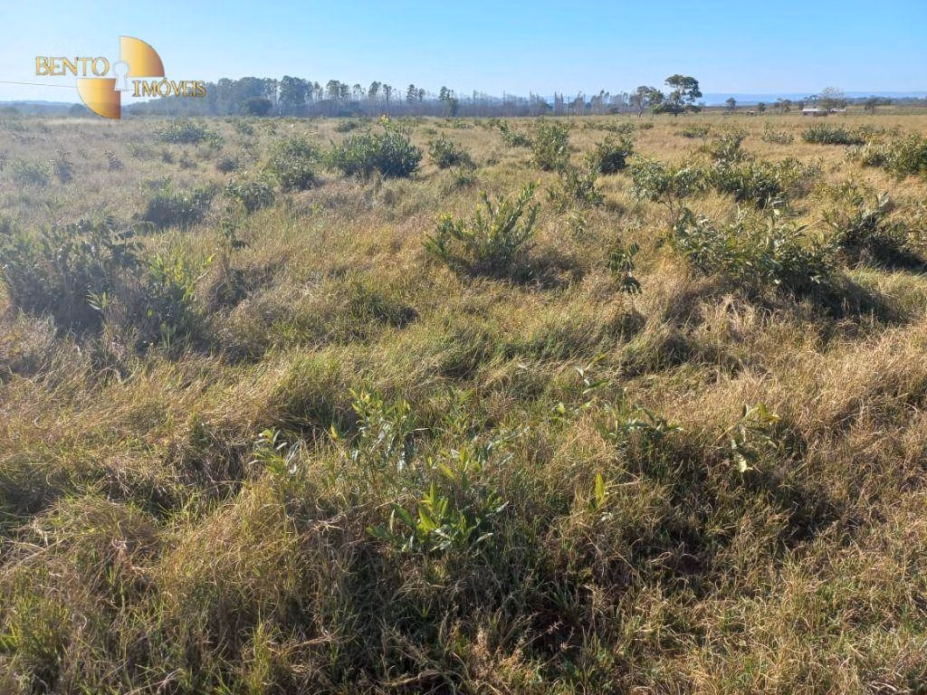 Fazenda de 337 ha em Juscimeira, MT